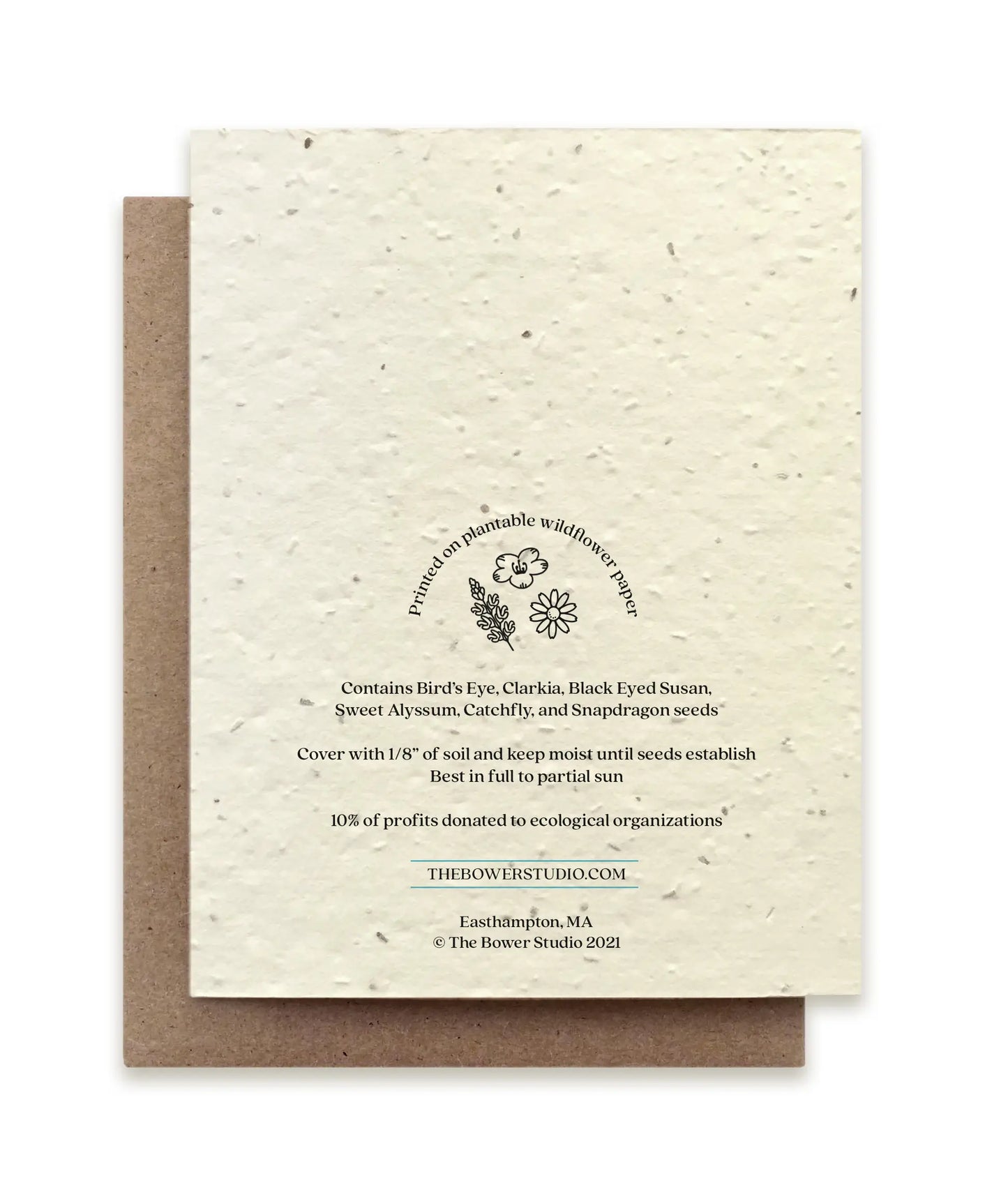 Small Victories | Plantable Wildflower Seed Greeting Card