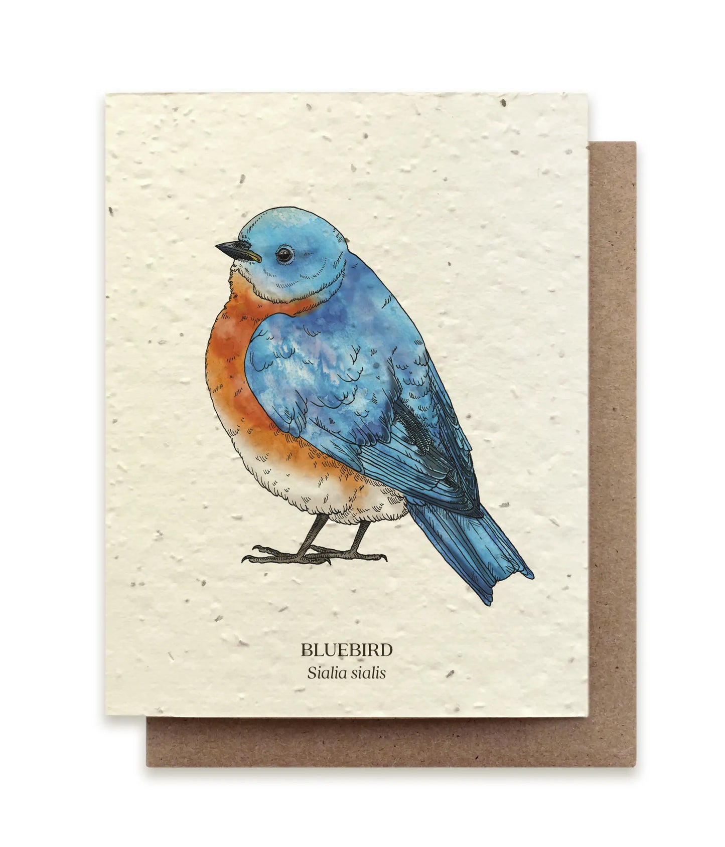 Small Victories | Plantable Wildflower Seed Greeting Card