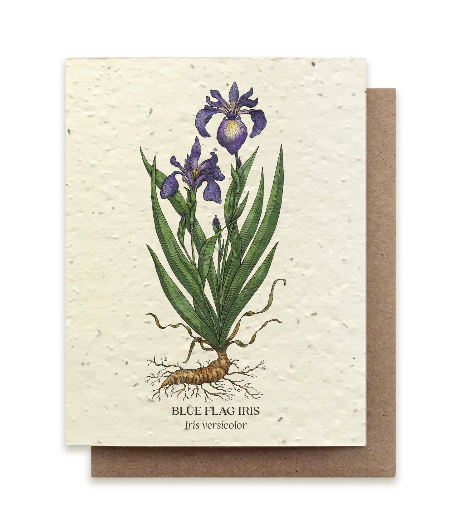 Small Victories | Plantable Wildflower Seed Greeting Card