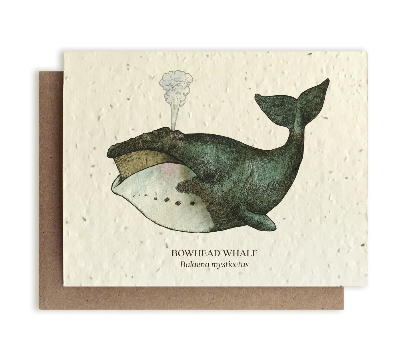 Small Victories | Plantable Wildflower Seed Greeting Card