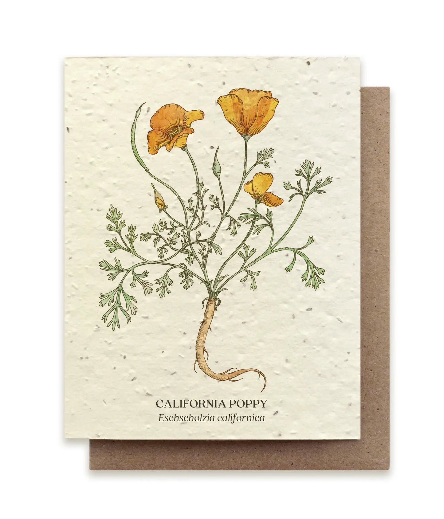 Small Victories | Plantable Wildflower Seed Greeting Card