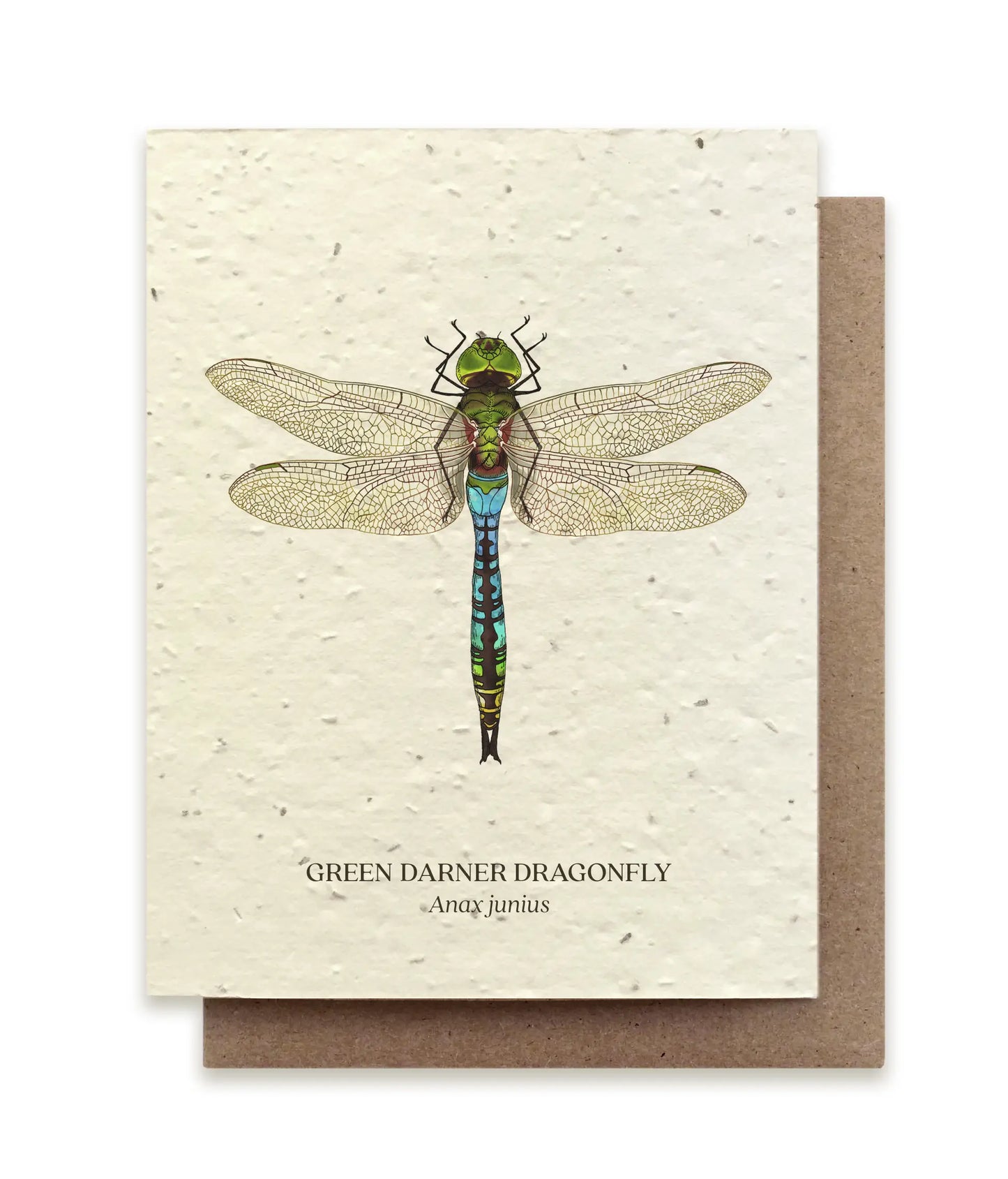 Small Victories | Plantable Wildflower Seed Greeting Card