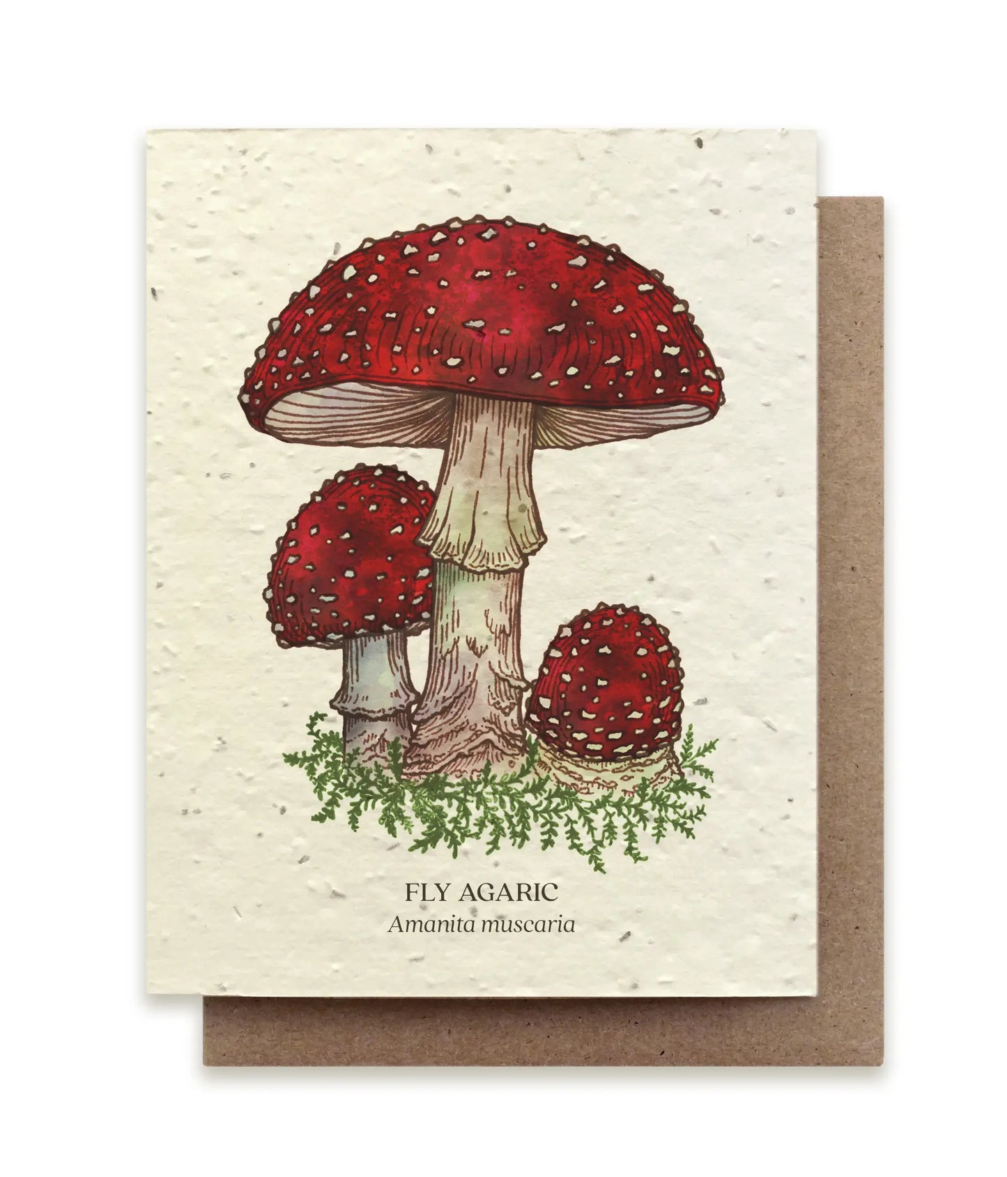 Small Victories | Plantable Wildflower Seed Greeting Card