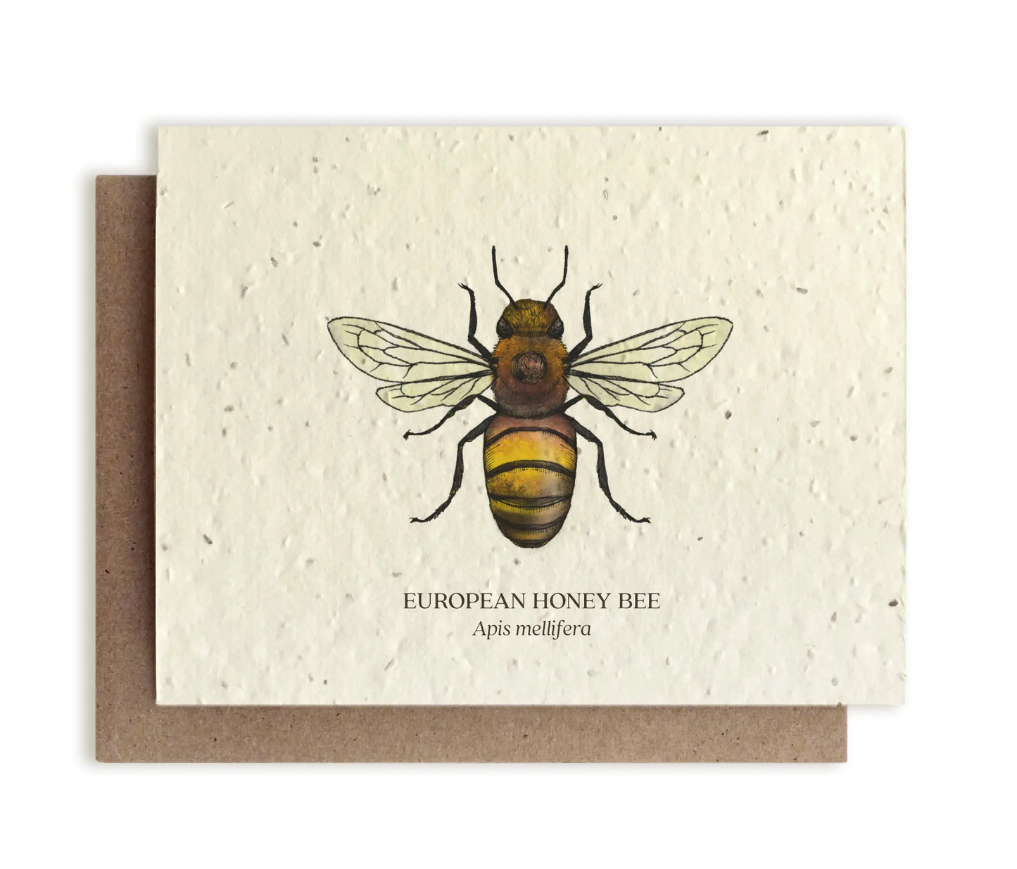 Small Victories | Plantable Wildflower Seed Greeting Card