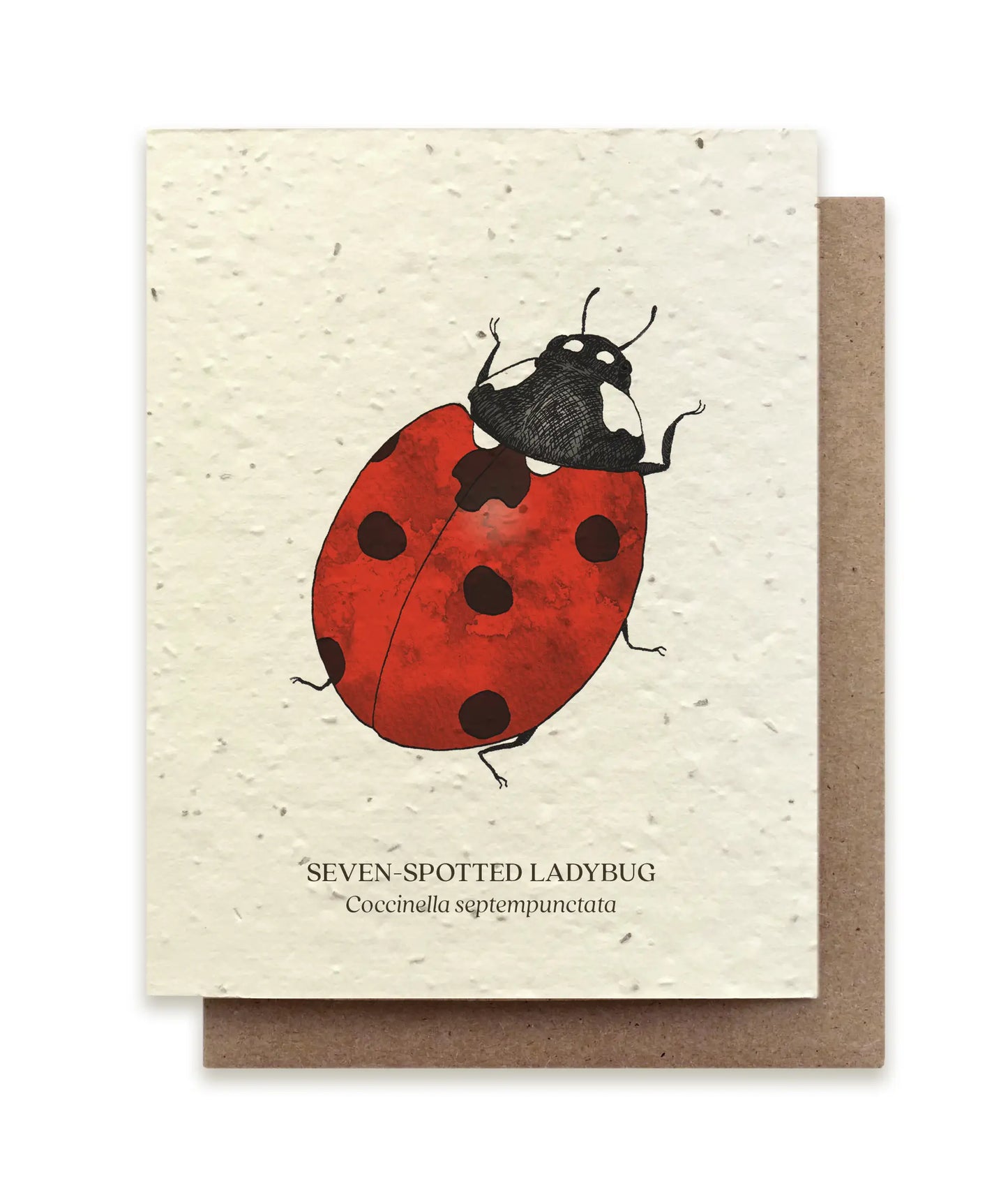 Small Victories | Plantable Wildflower Seed Greeting Card