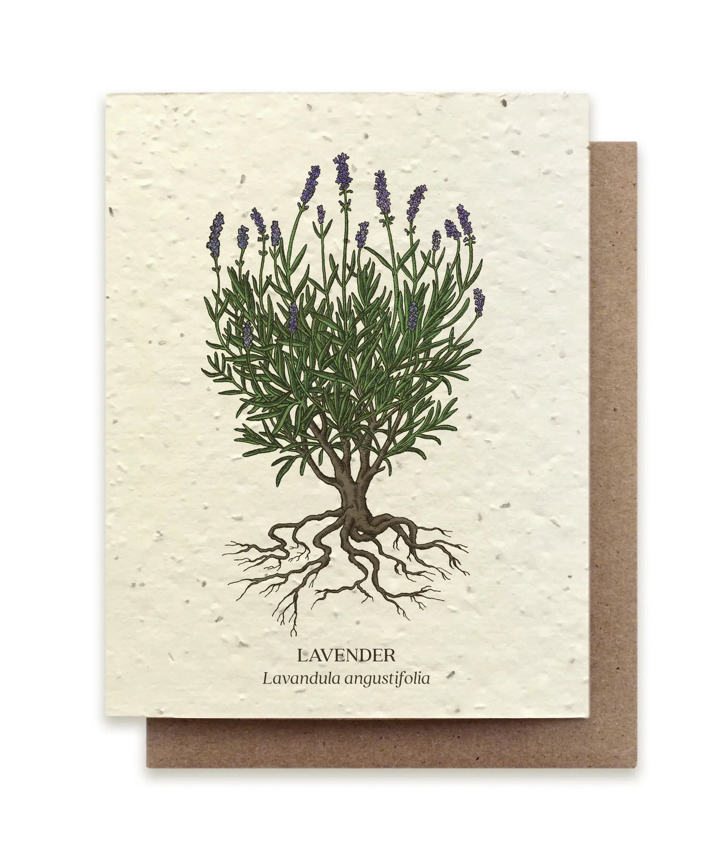 Small Victories | Plantable Wildflower Seed Greeting Card