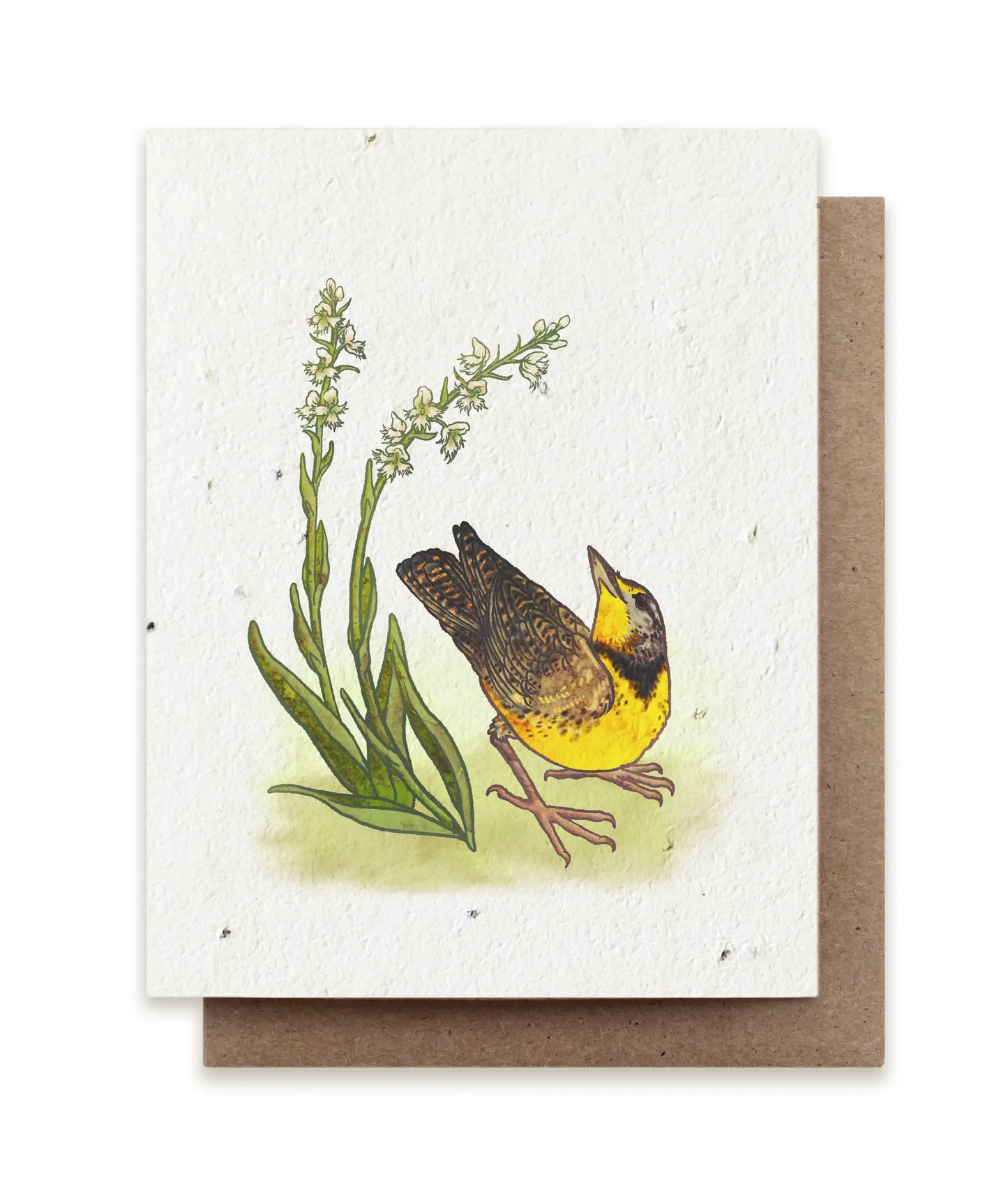 Small Victories | Plantable Wildflower Seed Greeting Card
