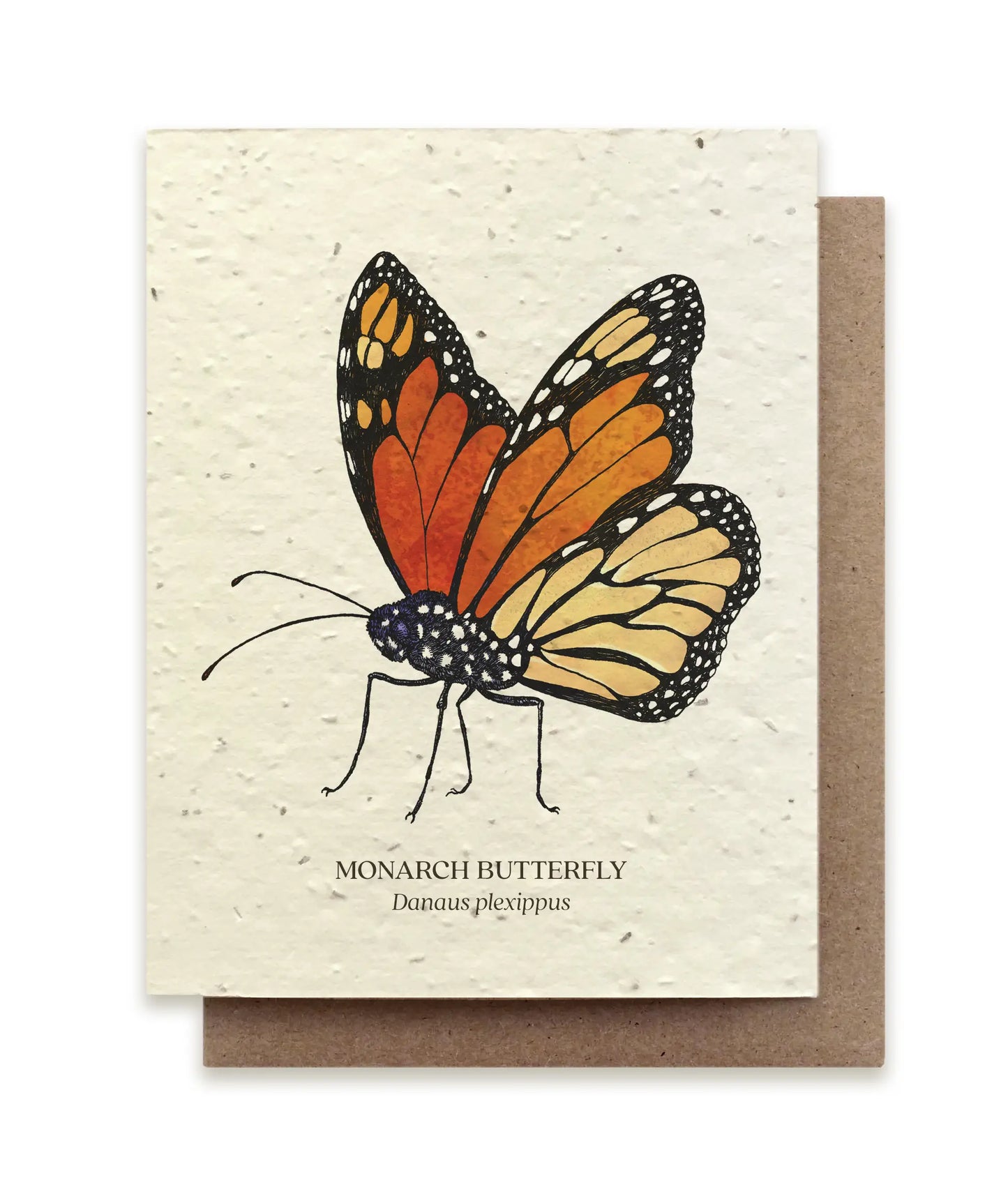 Small Victories | Plantable Wildflower Seed Greeting Card