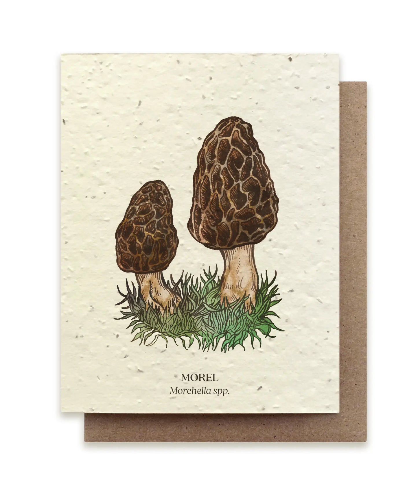 Small Victories | Plantable Wildflower Seed Greeting Card