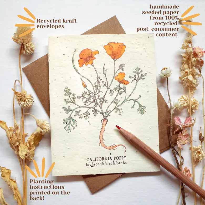 Small Victories | Plantable Wildflower Seed Greeting Card